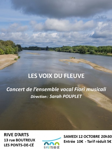 Affiche Les Voix du Fleuve.jpg